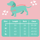 Teal Heart Knitted Dog Jumper or Cat Jumper